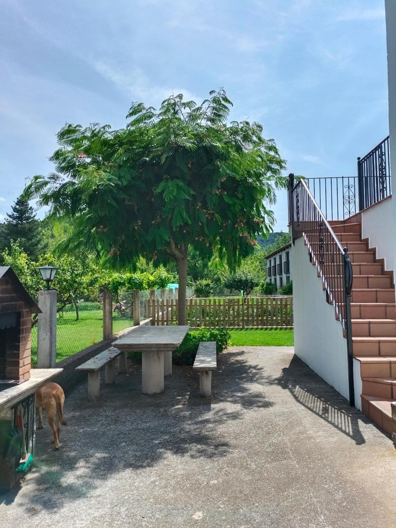 Apartamento Rural Casa Paco Con Jacuzzi Exterior Y Barbacoa Aínsa Exterior foto